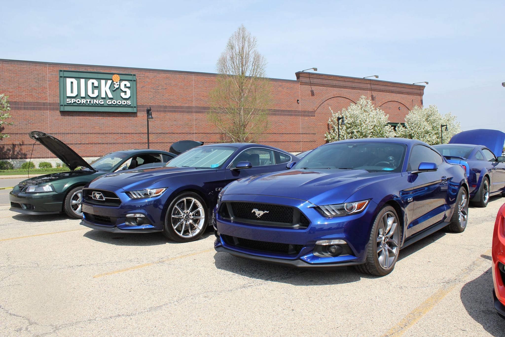 Kona Blue Vs Deep Impact Blue Page 2 The Mustang Source Ford