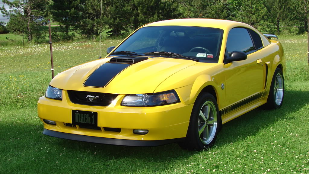 03/04 Mach 1 VS 05 GT - Page 2 - The Mustang Source - Ford Mustang Forums