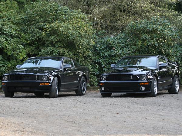 GT vs Bullitt Comparison-twinsdriveway.jpg