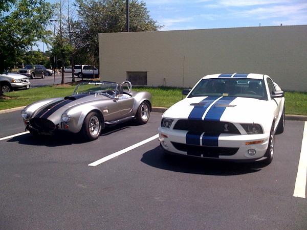 Terminator VS GT500-shelby.jpg