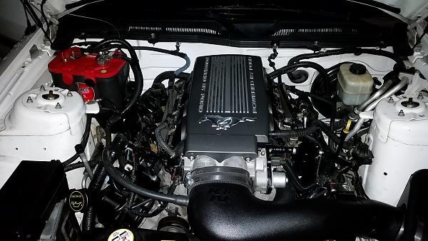 Ford Racing 3-Valve Cam Cover install (w/pics)-20150131_190445.jpg