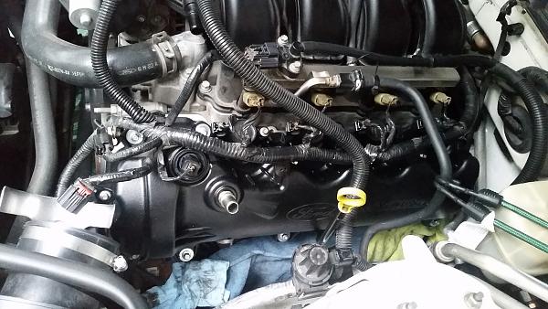 Ford Racing 3-Valve Cam Cover install (w/pics)-20150131_162130.jpg