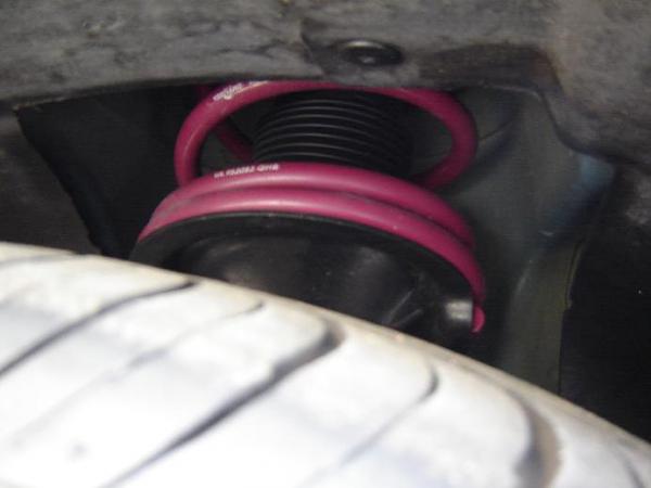 Vogtland Sport Springs-dsc00998.jpg