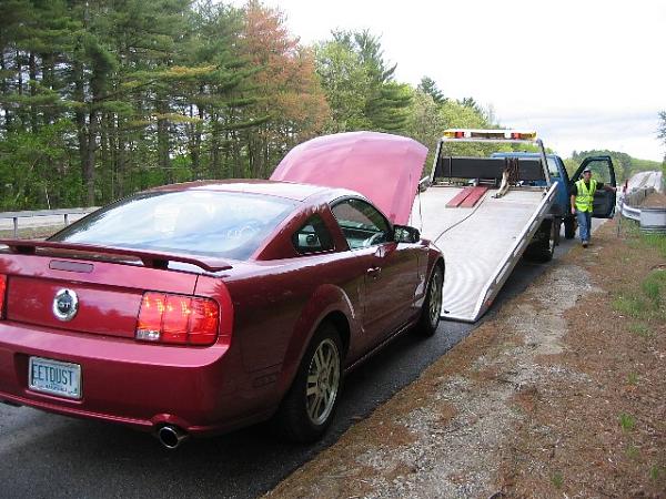 Steeda UDP + Electric Water Pump = .........-img_3968.jpg