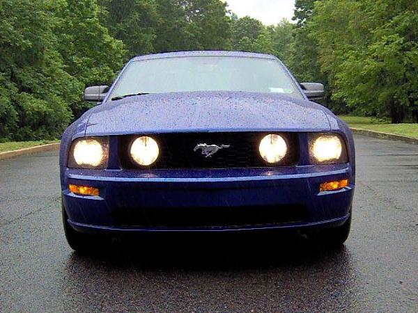 Eibach, FRPP &amp; Bamachips oh my...-im000706-small-.jpg