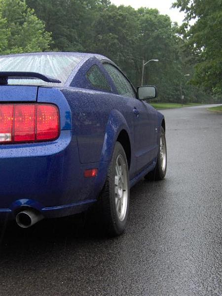 Eibach, FRPP &amp; Bamachips oh my...-im000717-small-.jpg