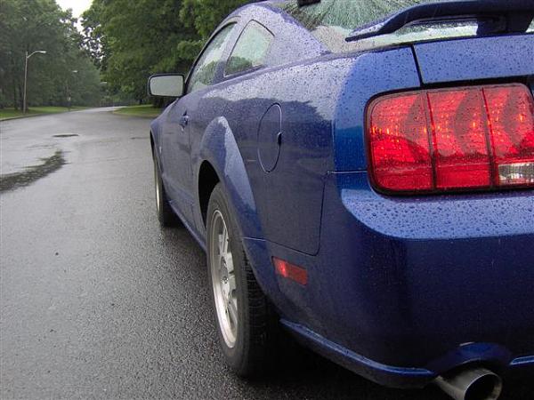 Eibach, FRPP &amp; Bamachips oh my...-im000718-small-.jpg