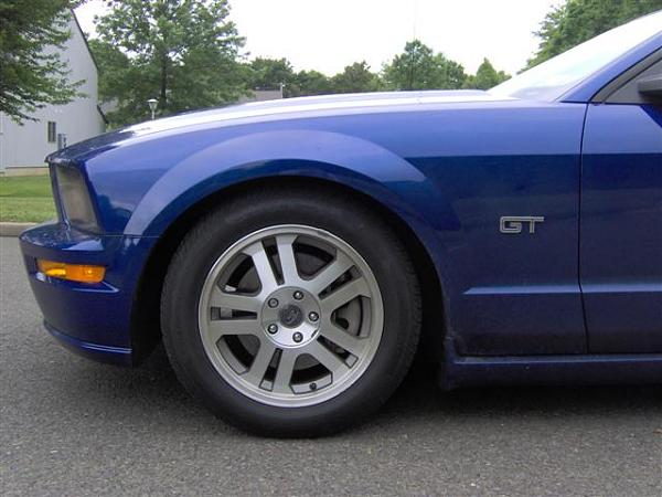 Eibach, FRPP &amp; Bamachips oh my...-im000735-small-.jpg