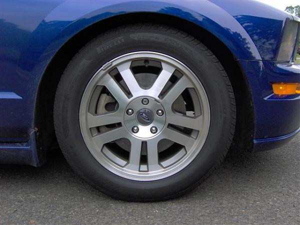 Eibach, FRPP &amp; Bamachips oh my...-im000743-small-.jpg