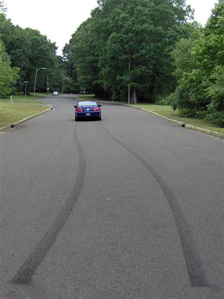 Eibach, FRPP &amp; Bamachips oh my...-im000750-small-.jpg