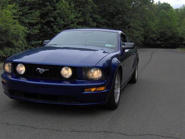 Eibach, FRPP &amp; Bamachips oh my...-im000752-small-.jpg