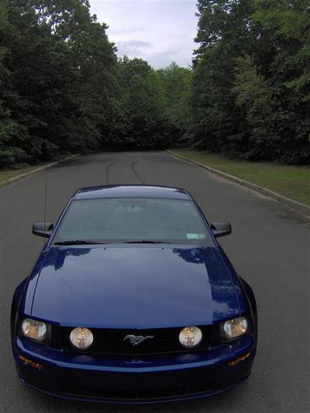 Eibach, FRPP &amp; Bamachips oh my...-im000754-small-.jpg