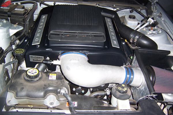 C&amp;L intake with my Shaker, Bamachips Torque tune = DAMMNNN-engine1-800-x-533-.jpg