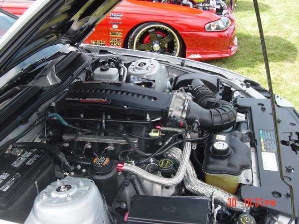 Saleen supercharger cost?-carshow7.jpg
