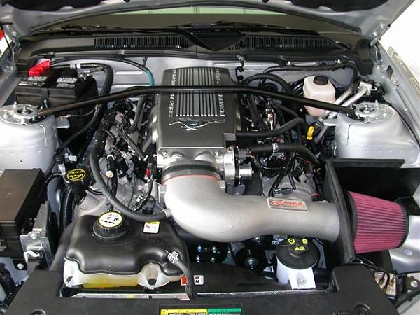 Strut Tower Brace madness! Post your experience-mustang-photos-005-small-.jpg