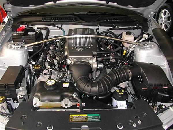 Strut Tower Brace madness! Post your experience-mustang-photos-010-small-.jpg