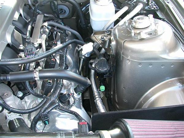 Strut Tower Brace madness! Post your experience-mustang-photos-017-small-.jpg
