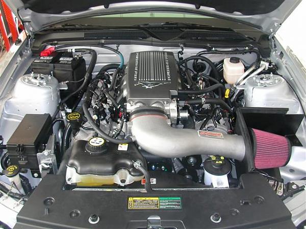 CAI's that don't require a tune.-mustang-photos-004-small-.jpg