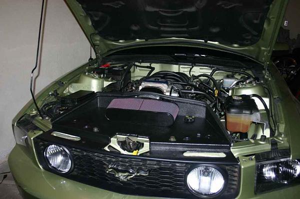 WMS and Brenspeed Tune Installed-air-filter1-110106.jpg