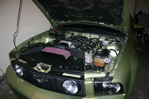 WMS and Brenspeed Tune Installed-air-filter2-110106.jpg