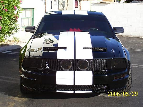 saleen supercharger-15.jpg