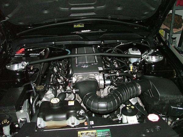 Strut Tower Braces:  Should I get a single or double bar?-strut-bar-001.jpg