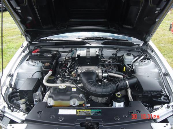 Whose Supercharger are you using?-carshow6.jpg