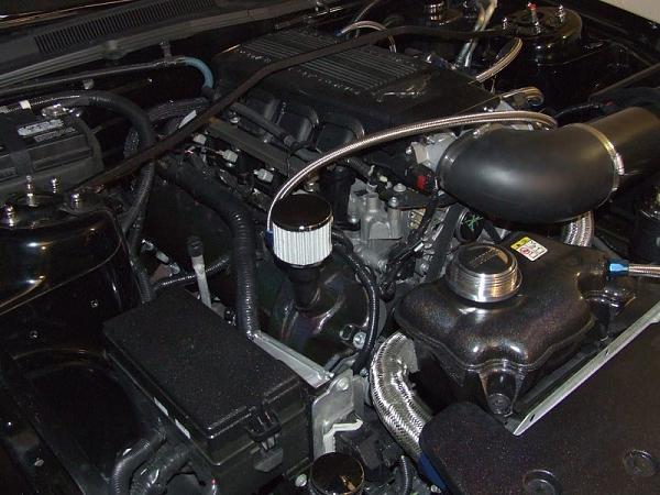 Another Winter Project Finished-dscf0278.jpg