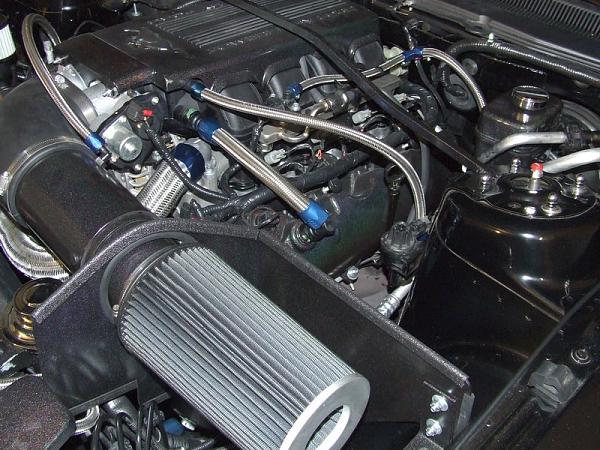 Another Winter Project Finished-dscf0281.jpg