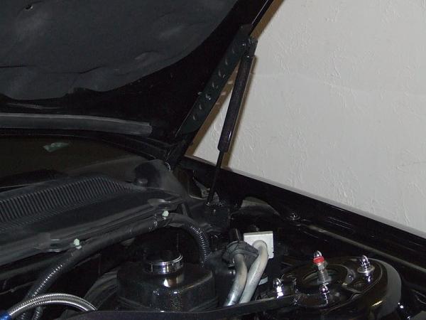 Another Winter Project Finished-dscf0288.jpg