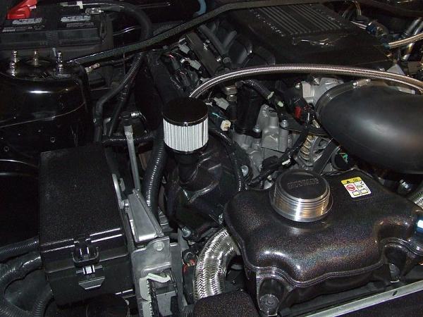 Another Winter Project Finished-dscf0289-1.jpg