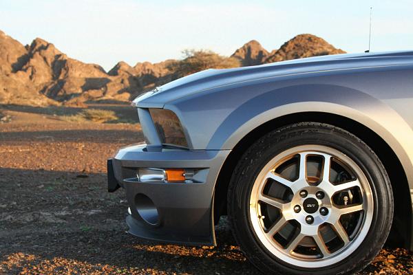 14" GT500 brake fitment...-img_0850.jpg