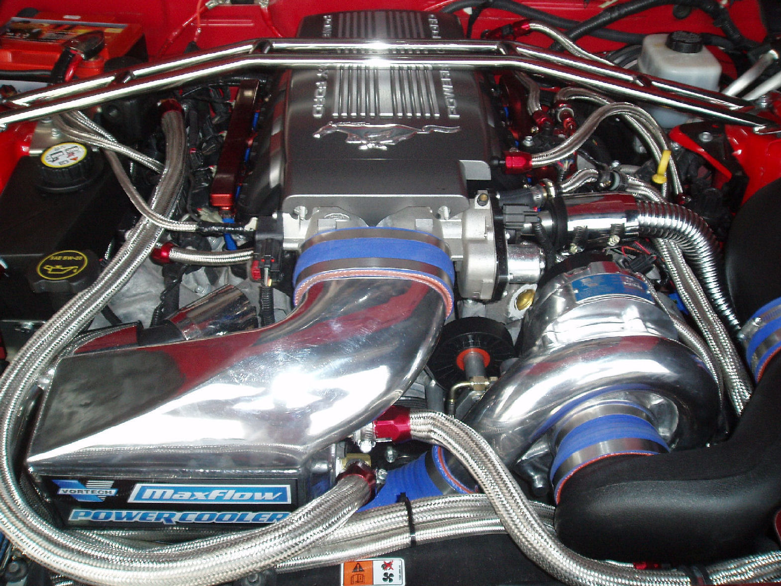Custom Engine Compartment - Page 2 - The Mustang Source - Ford Mustang  Forums