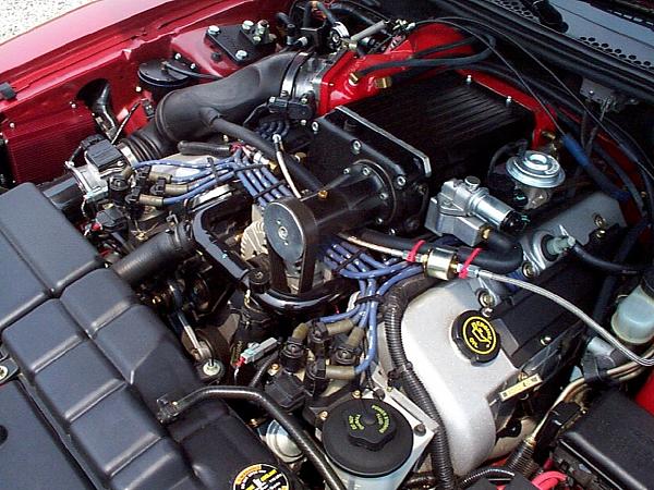 In this thread you will post s/c'd stang pics to drive Tom crazy.-cobra-blower.jpg