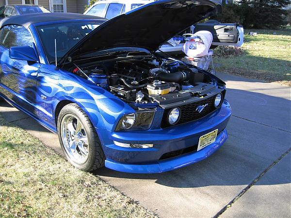 In this thread you will post s/c'd stang pics to drive Tom crazy.-598.jpg