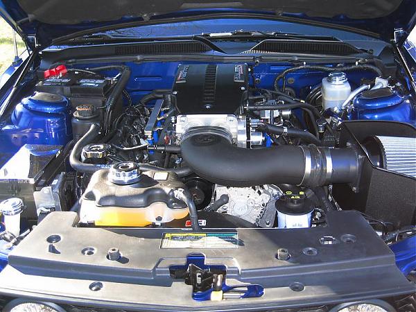In this thread you will post s/c'd stang pics to drive Tom crazy.-596.jpg