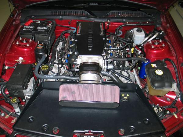 In this thread you will post s/c'd stang pics to drive Tom crazy.-engine.jpg