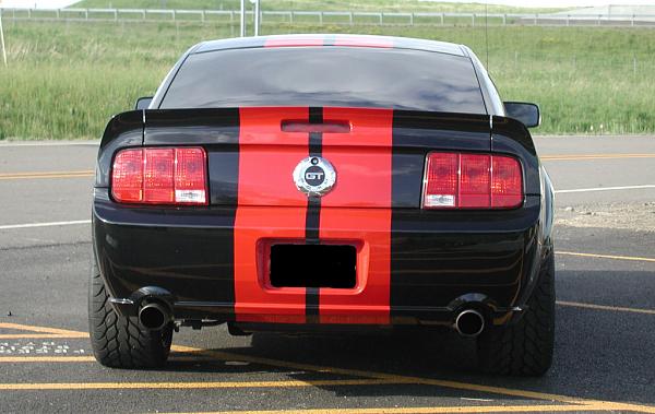 New car-backparksmall.jpg