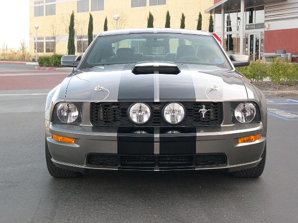 Factory scoop or Shelby scoop for '06 GT-158.jpg