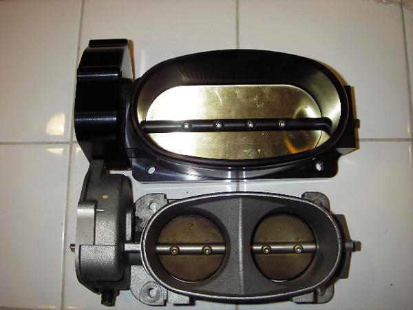 BiggestThottle Body-monster-tbody.jpg