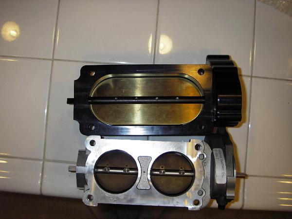 BiggestThottle Body-monster-tbody2.jpg