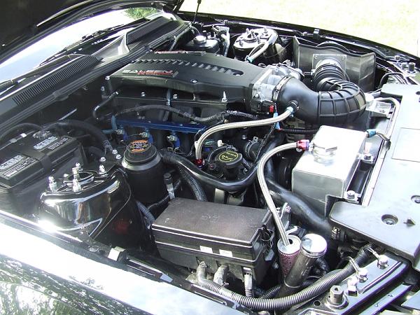 Creating the ultimate supercharger thread.-dscf0685.jpg