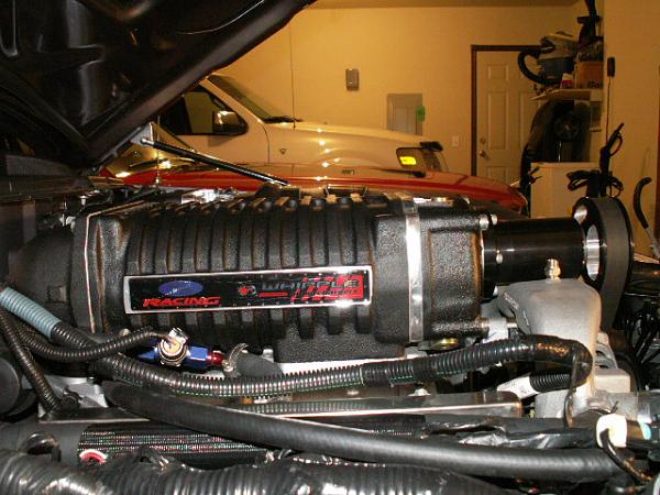 Creating the ultimate supercharger thread.-whipple-004.jpg