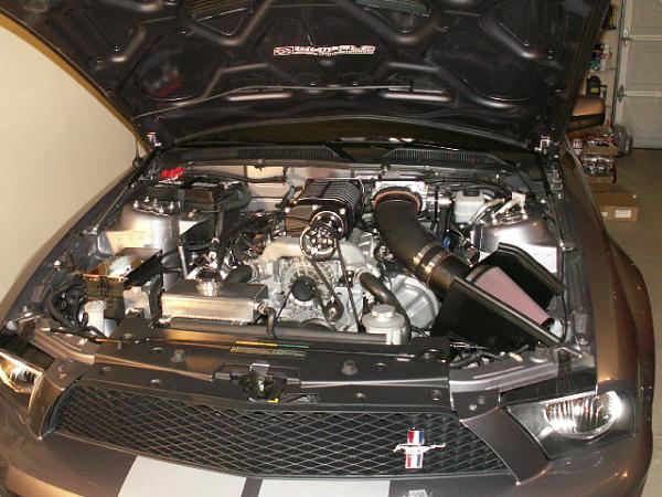 Creating the ultimate supercharger thread.-whipple-005.jpg