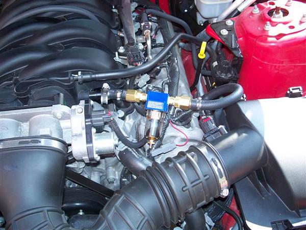 Oil Separator vs. (benefits?) of blow-by-100_0847-small-.jpg