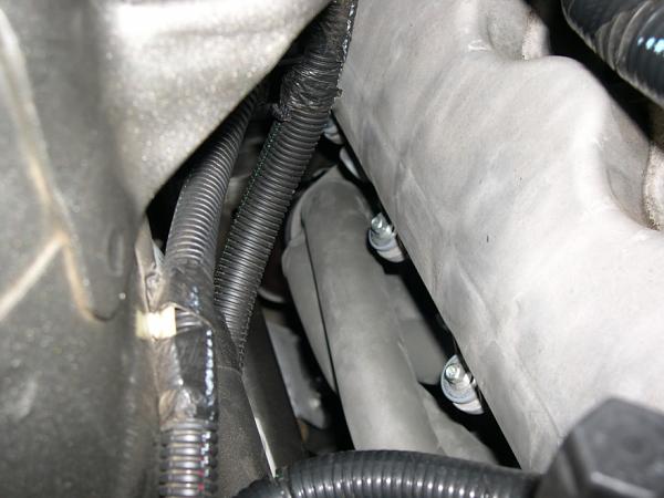 What's Next?-mods-008.jpg