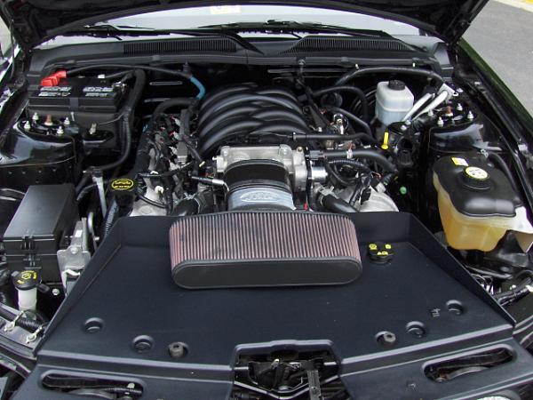 CAI Alternative Options-hpim0398.jpg