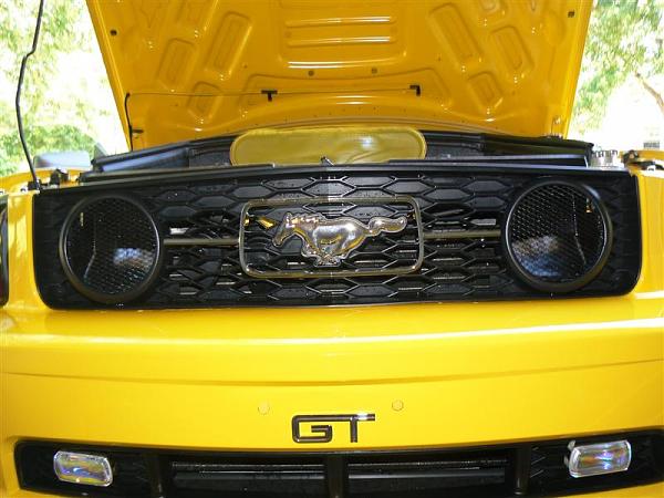 Is this a new Ford racing CAI??-p1000304-medium-.jpg