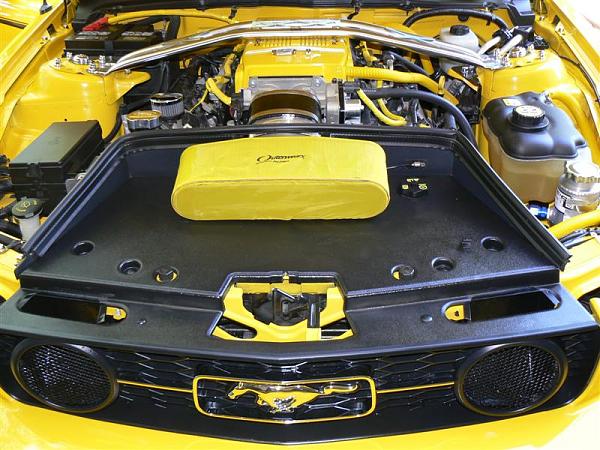 Is this a new Ford racing CAI??-p1000311-medium-.jpg