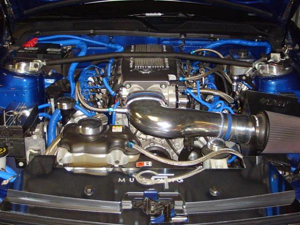 2006 Mustang Shelroush-marisha-pictures-001-small-.jpg